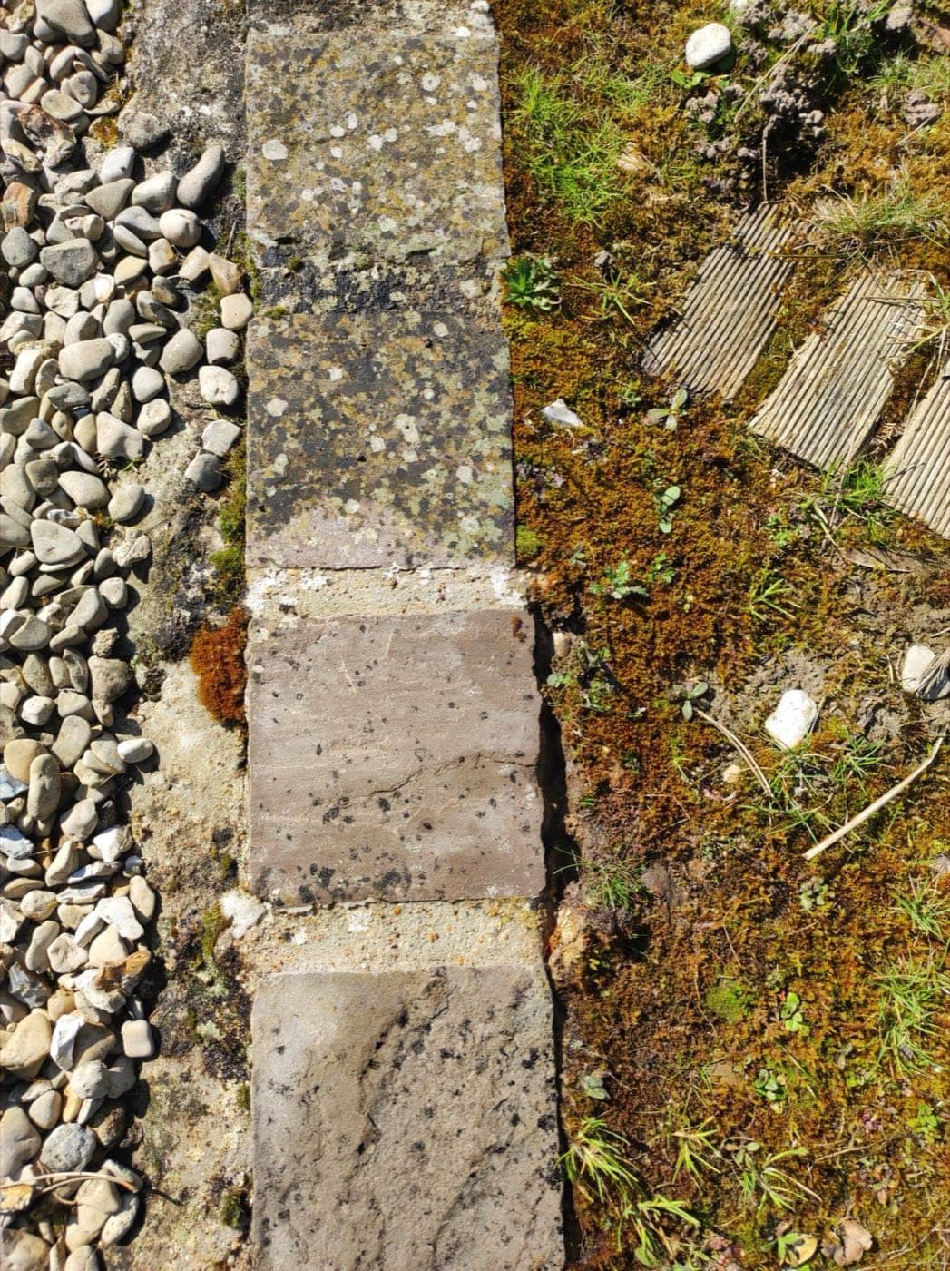 Nettoyage d'une terrasse pavée avec démoussage dans les Yvelines
